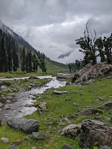 Forest Block