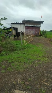 Barkhediya from hous