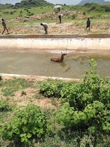 Ambikapur