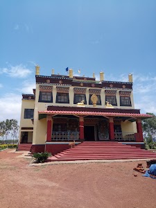 Surguja