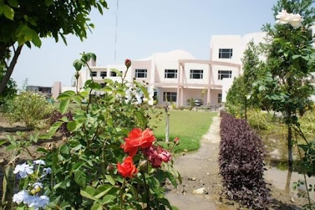 Ferozepur Group Of Colleges