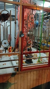 Punjab Club Shiv Temple