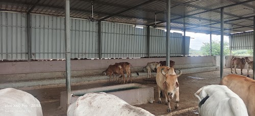 shree devnarayan temple