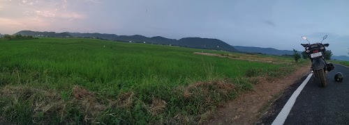 Pat Gaon
