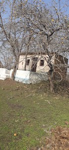 Bhadwa