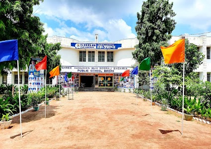 Bagaria public school (Gograj School)