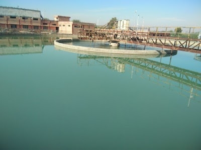 Shobhasar