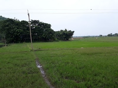 Pahartal NC