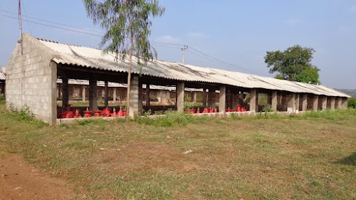 Hahotipurwa