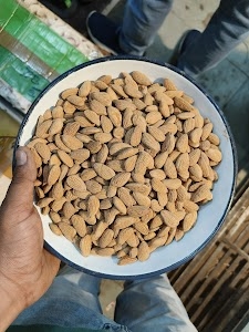 Jagdish Store