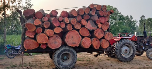 Garhwal Timbers