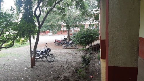 Dhonde College