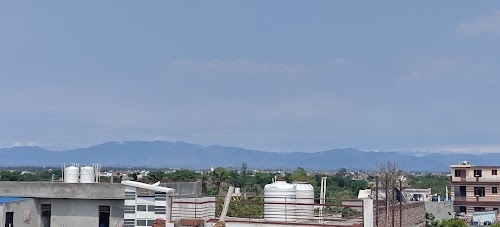 Ramgard (Daun) New colony