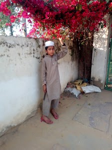 Maman Kalan