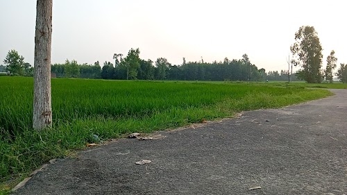 My house
