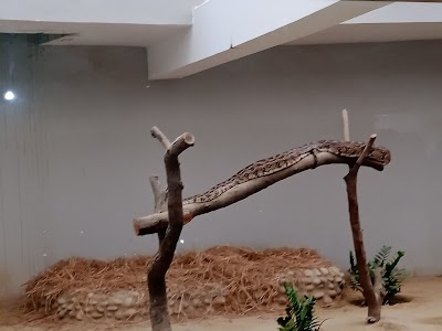 Snake house