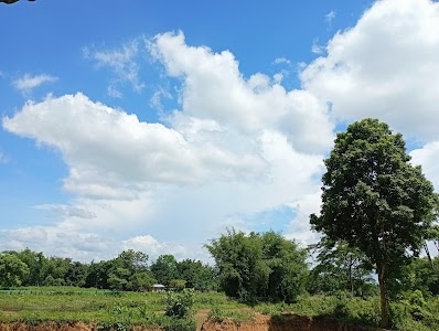 Dabli