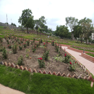 Rose Garden