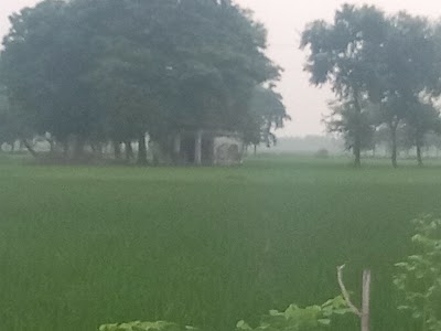 सत्ती माता