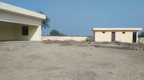 Palwali