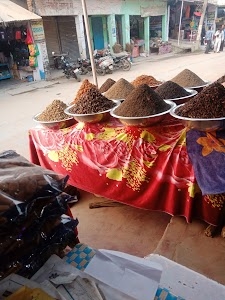 SANGAM NIGAM