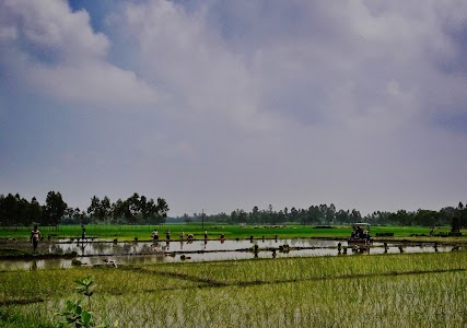 Birghai