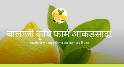 Asind To Ajmer MDR 33