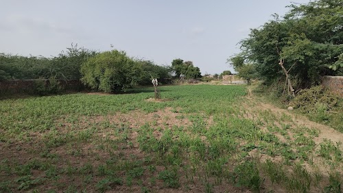 kumaro ka vas hoongaon