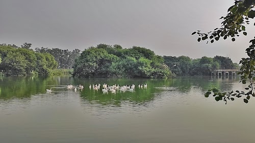 Tilyar Lake, Rohtak