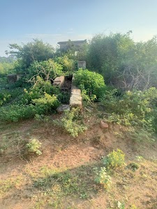 Haryana farm हरयाना फ्राम