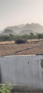 KUMAWAT PETROLEUM