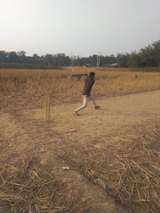 CRICKET STADIUM