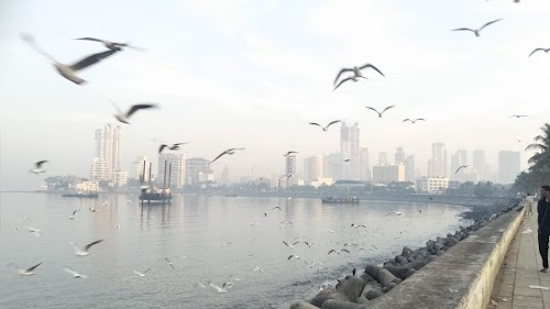 Haji Ali Government Colony, Mahalakshmi