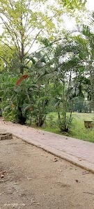 DD Nagar Sector 2 Garden