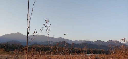 Saral Para