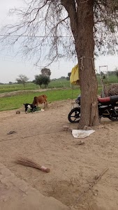 HP GAS AGENCY RD860 BANGARSAR