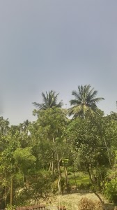 soni rubber pvt ltd