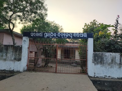 Biripali School