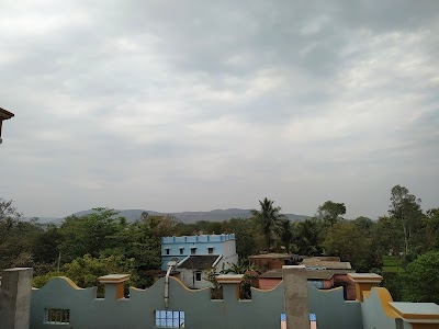 Paharsrigida