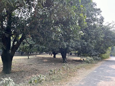 Bhadri Qila Talab भदरी किला तालाब