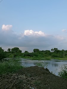 Aniyala