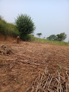 Deoli