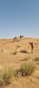 Al Batayih