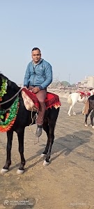 Gumut