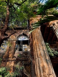 Basu Bati