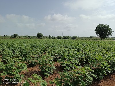 Murlidhar farmhouse