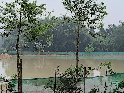 Ganga fishery n piggery farm