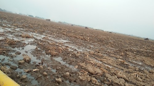 Hadinagar
