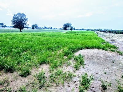 Govt.sec.ce.school फरेडी पयाऊ
