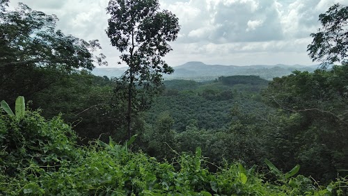 Khodri